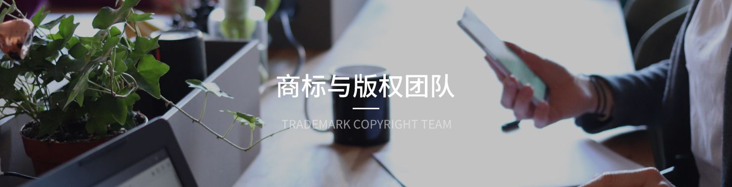 三聚陽光知識產(chǎn)權(quán)集團商標(biāo)代理版權(quán)代理團隊
